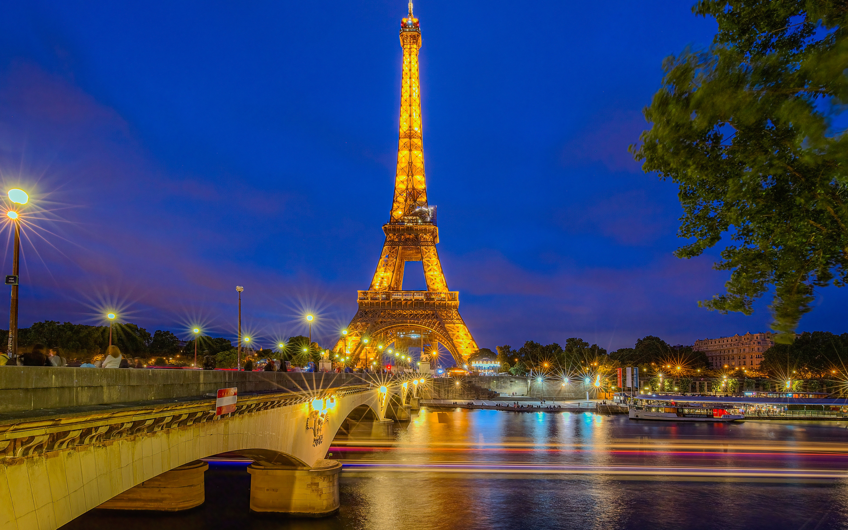 Eiffel_Tower_Night_2_France.jpg