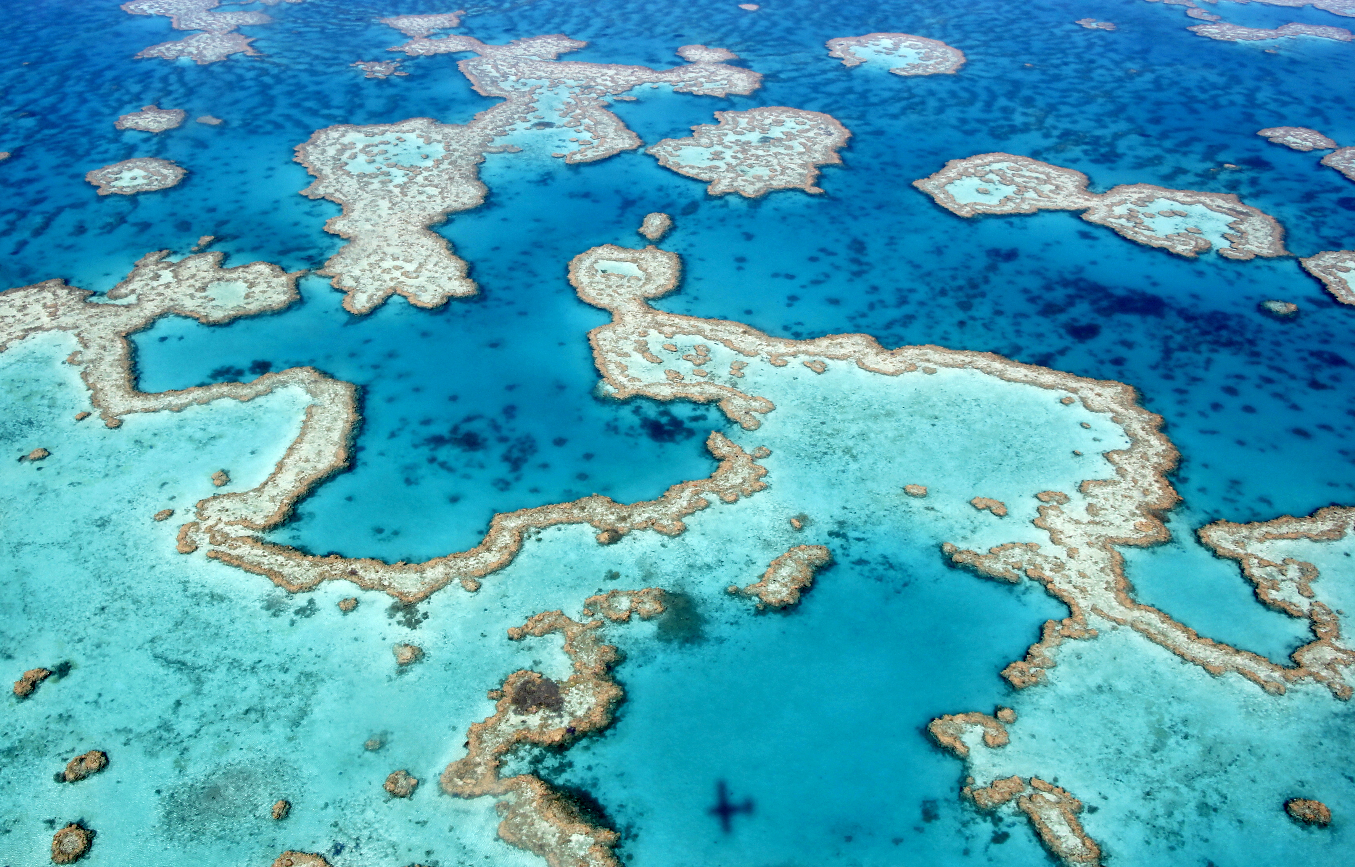 Amazing_Australia_Day_7.jpg