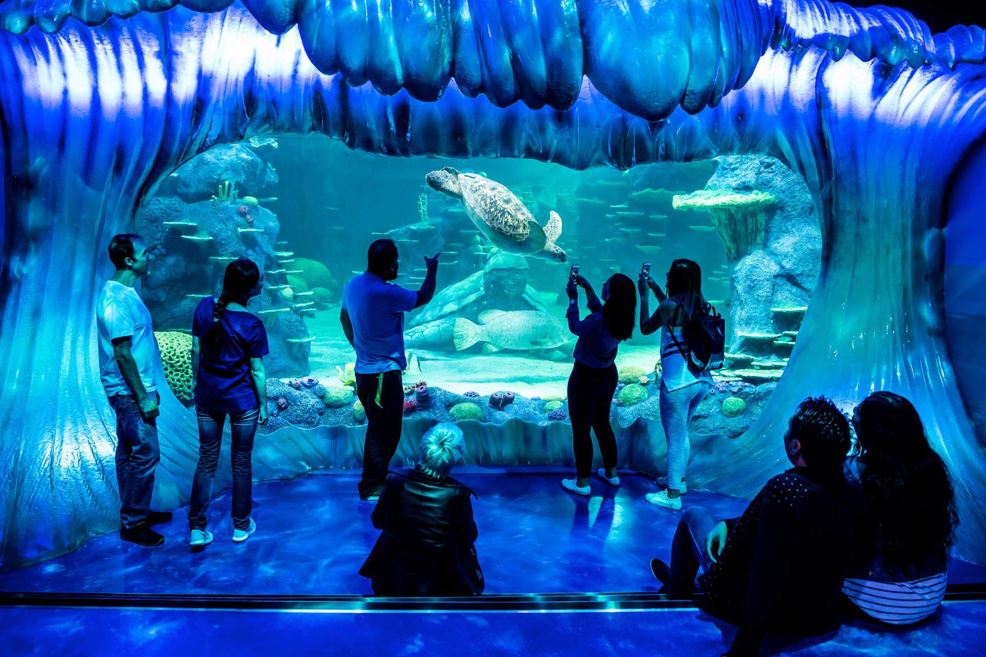 Sea_Life_Aquarium_Sydney_Australia.jpg