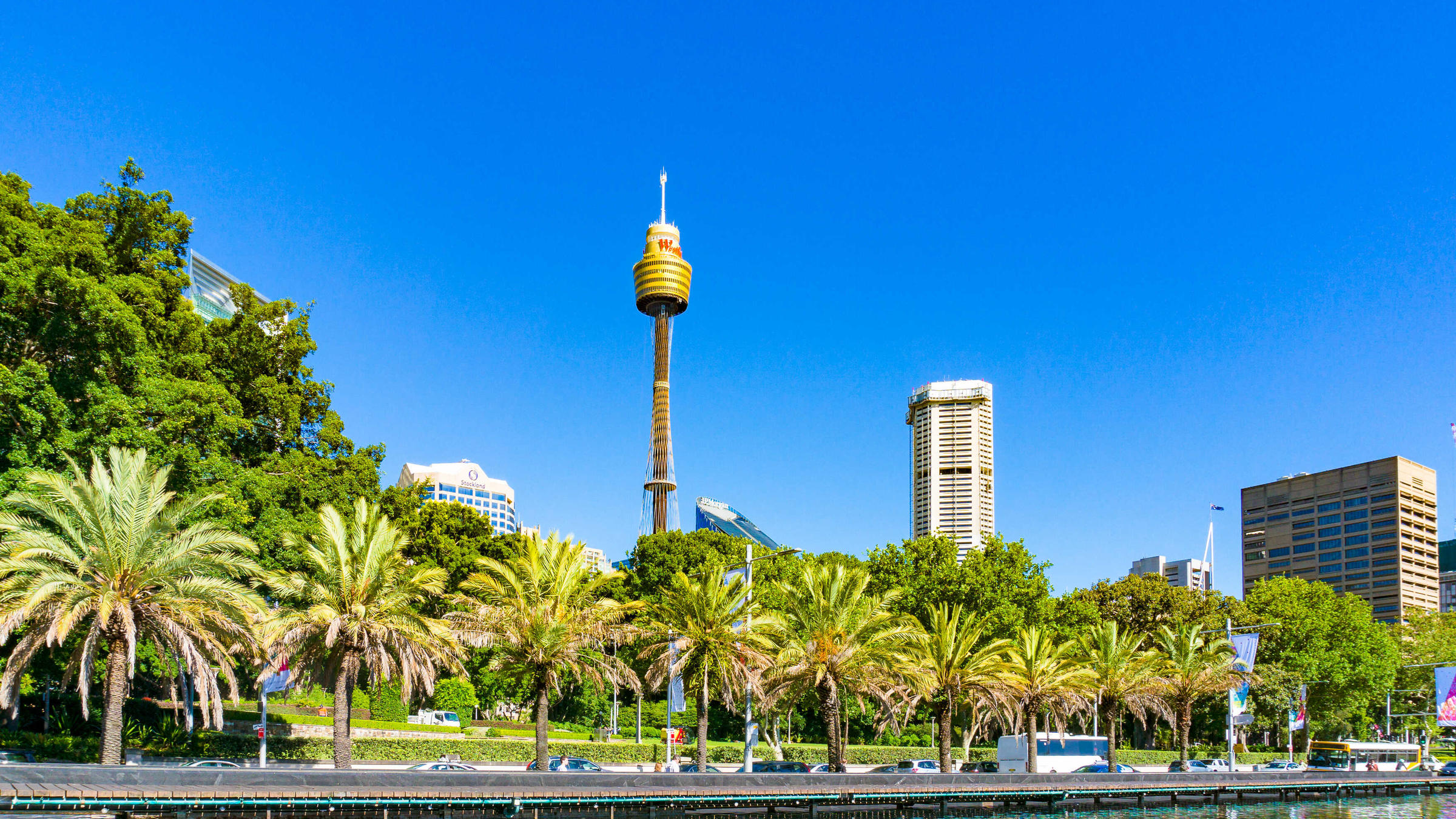 Sydney_Tower_Eye_Sydney_Australia.jpg