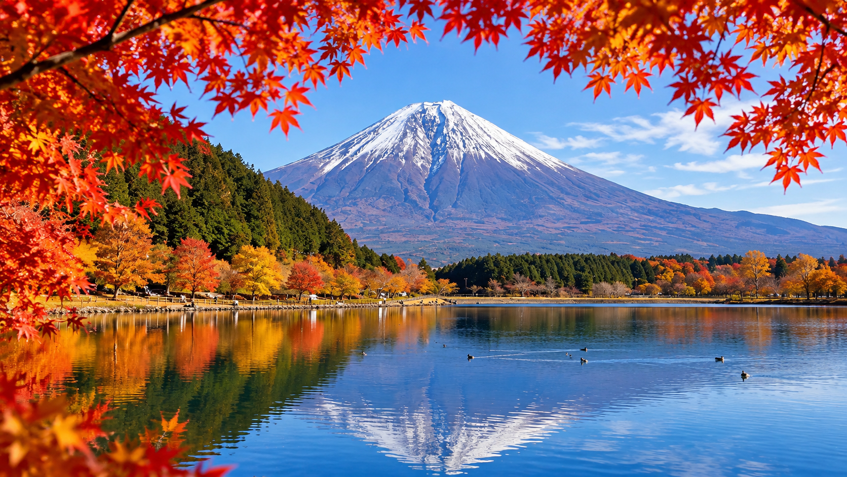 The Best of Japan