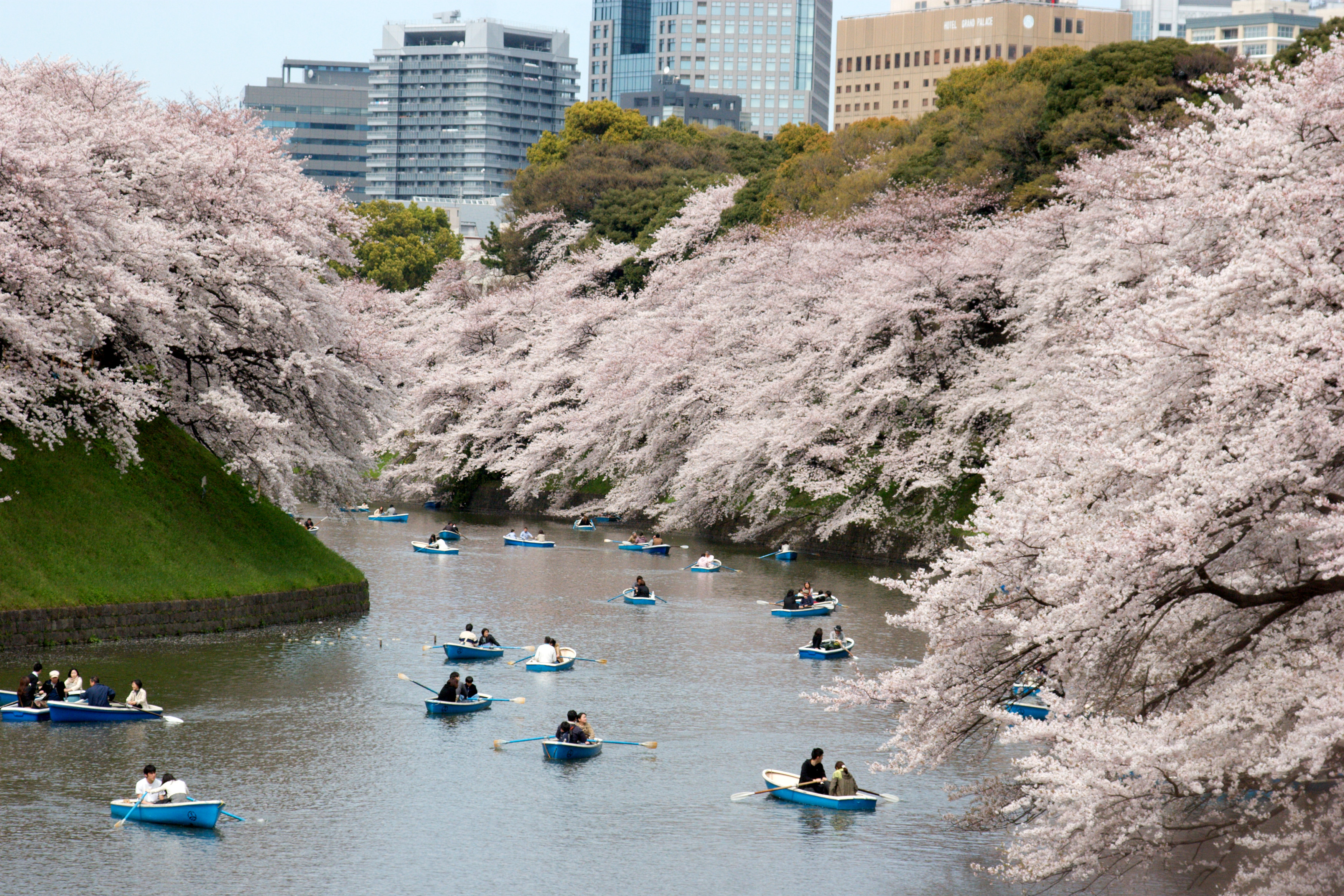 Chidorigafuchi_Park_Japan.jpg