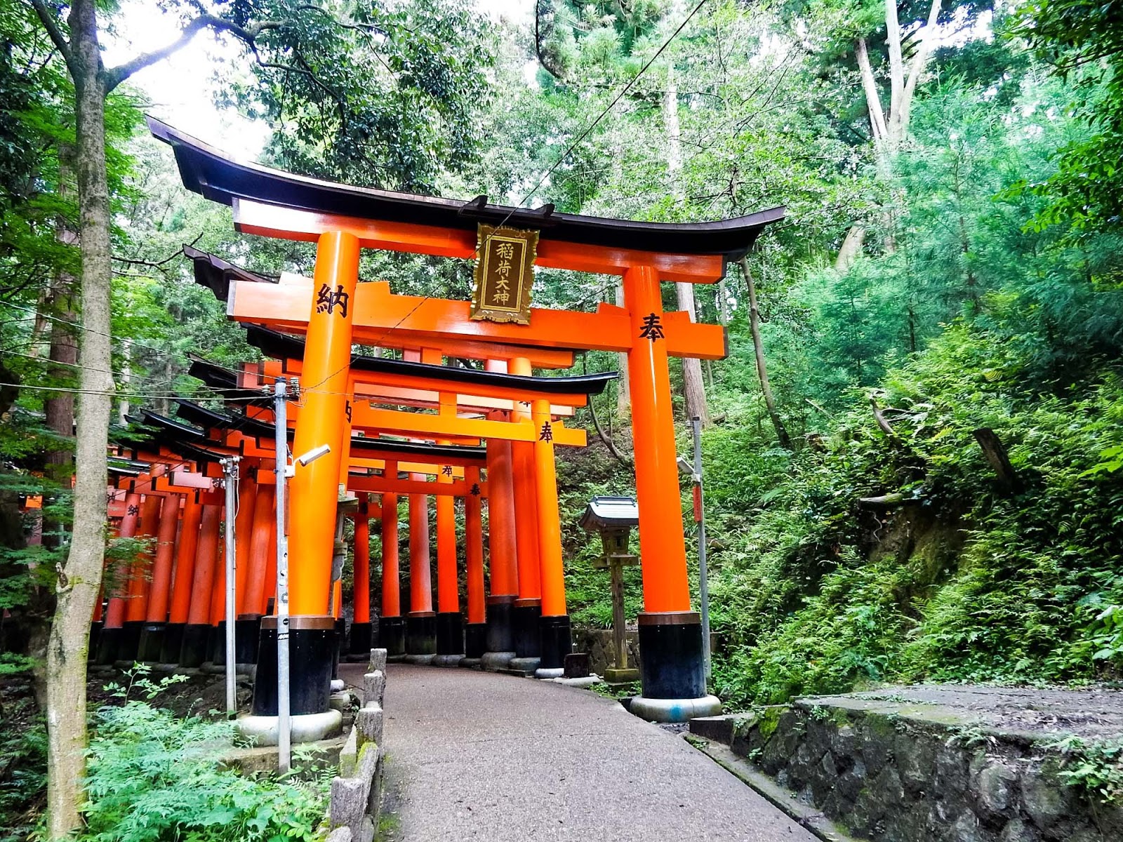 Fushimi_inari_Shrine___Japan.jpeg