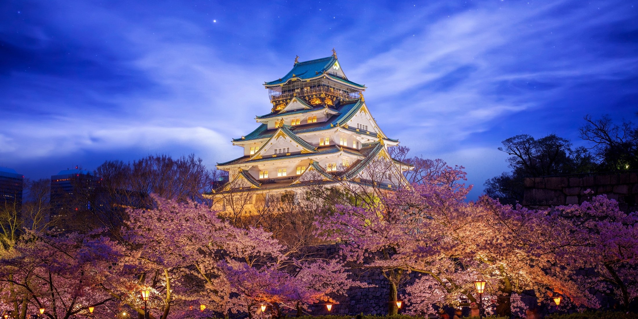 Himeji_Castle_nightview_Japan.jpg