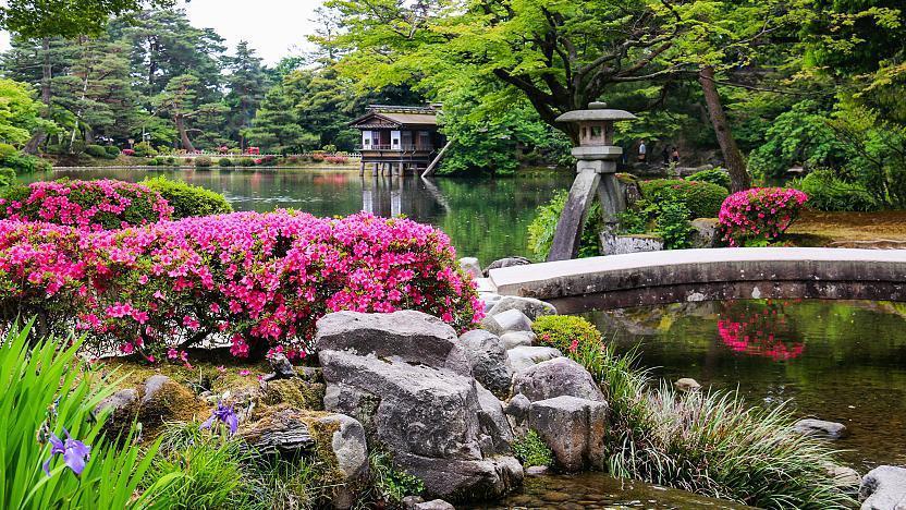 Kotoji-toro stone lantern and pink azaleas by Kasumigaike pond, Kenrokuen Garden, Japan