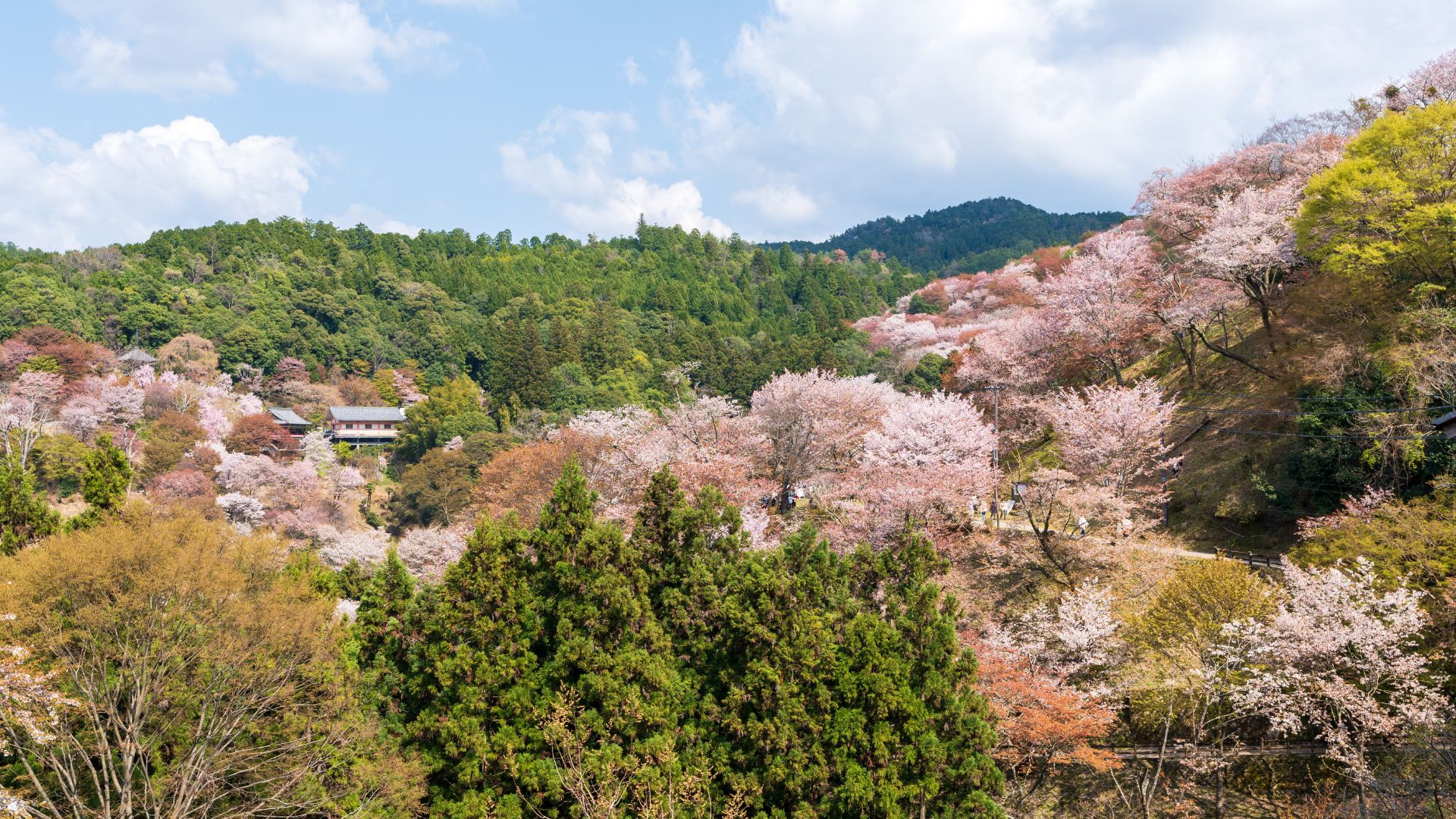 Mount_Yoshino_Nara_Japan.jpg
