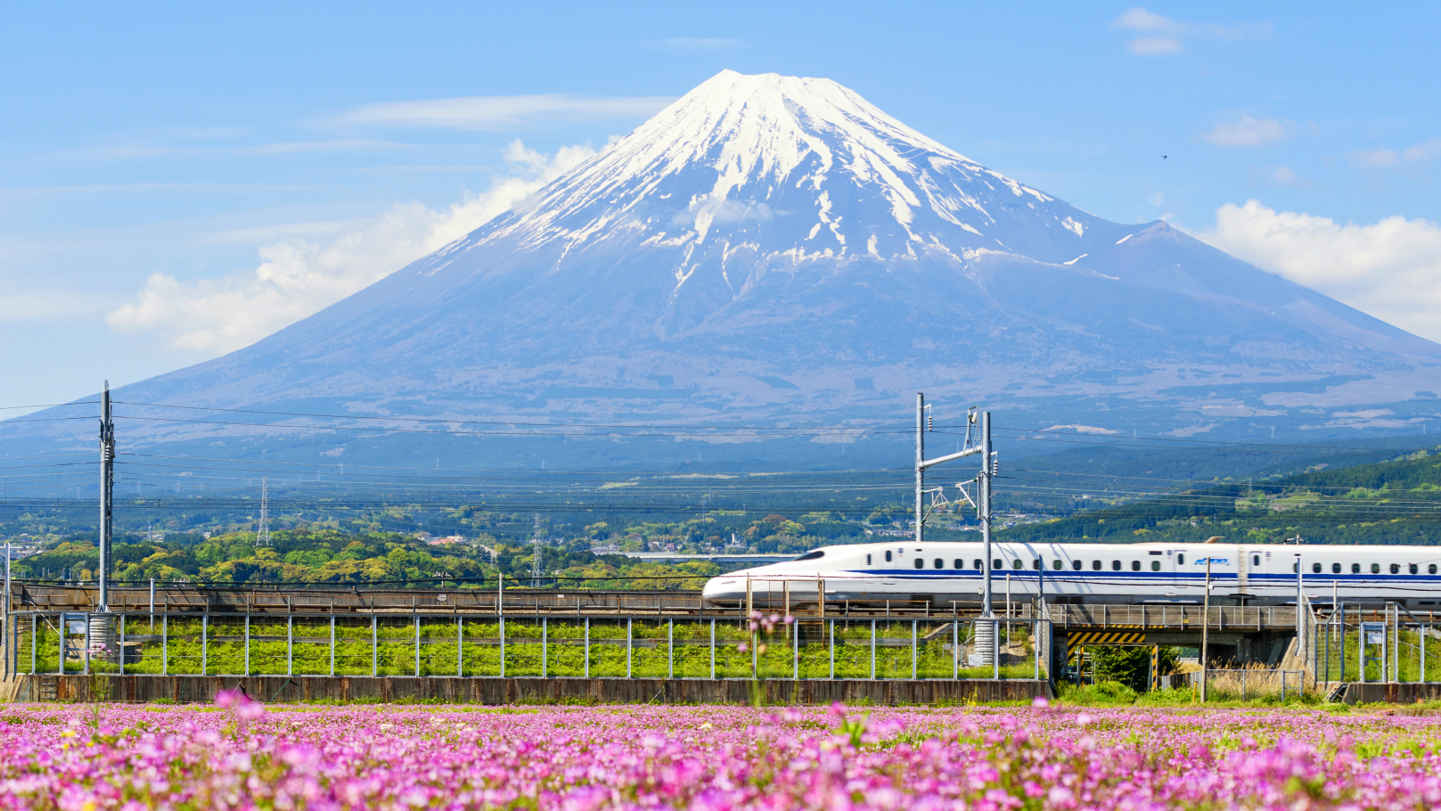 Shinkansen_Japam.jpeg