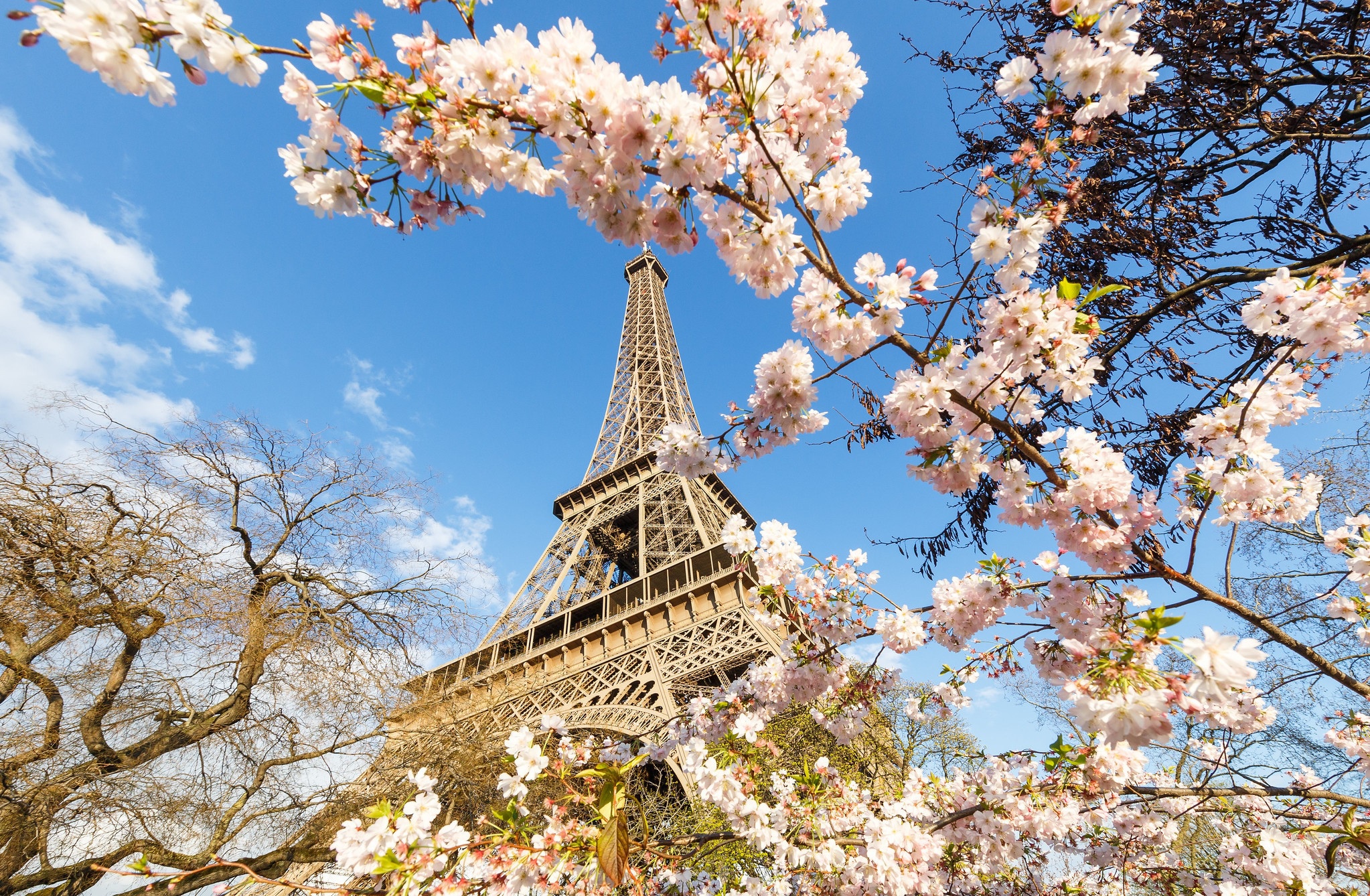 Spring_in_Paris_France.jpg