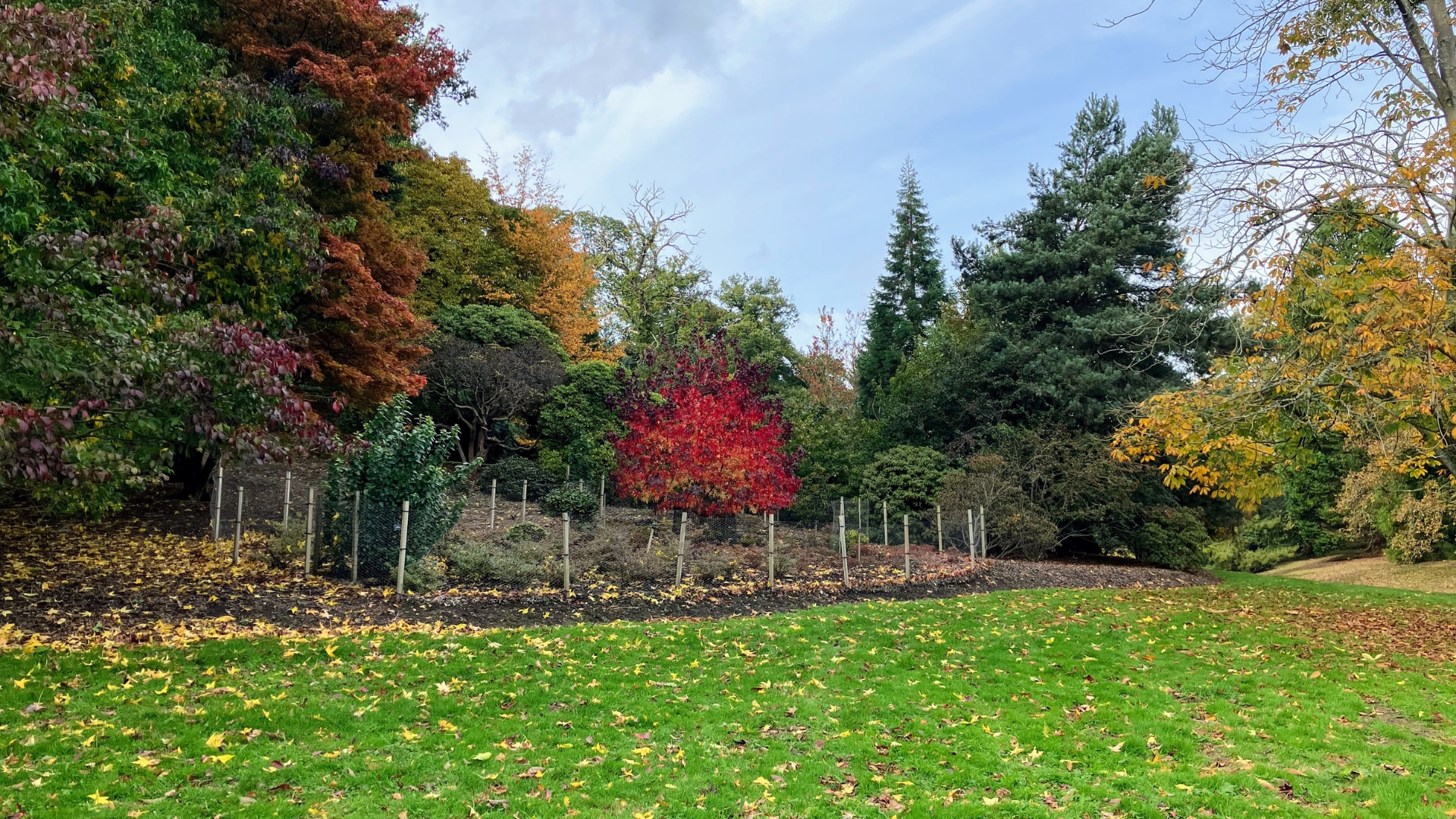 Windsor_Great_Park_2_Windsor_UK_KJRSwQX.jpg