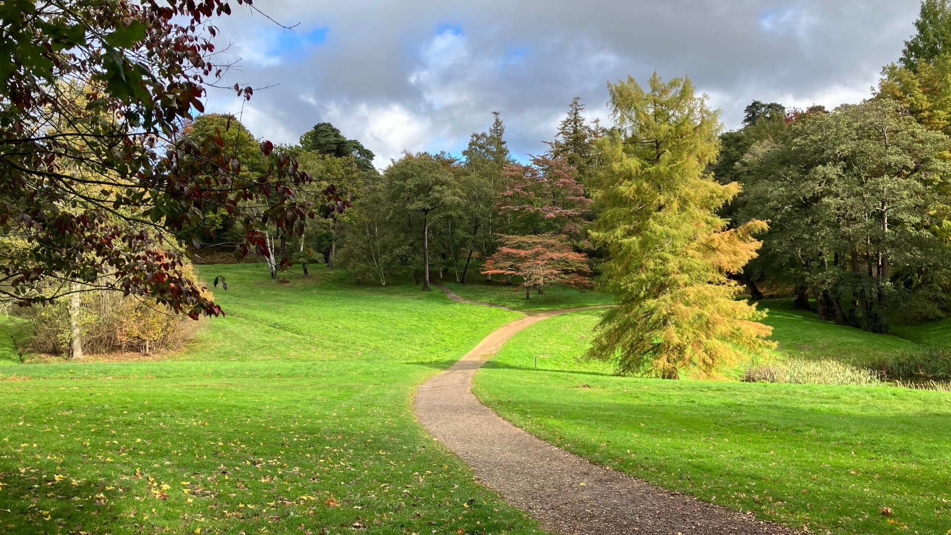 Windsor_Great_Park_Windsor_UK_jMDT8bG.jpg