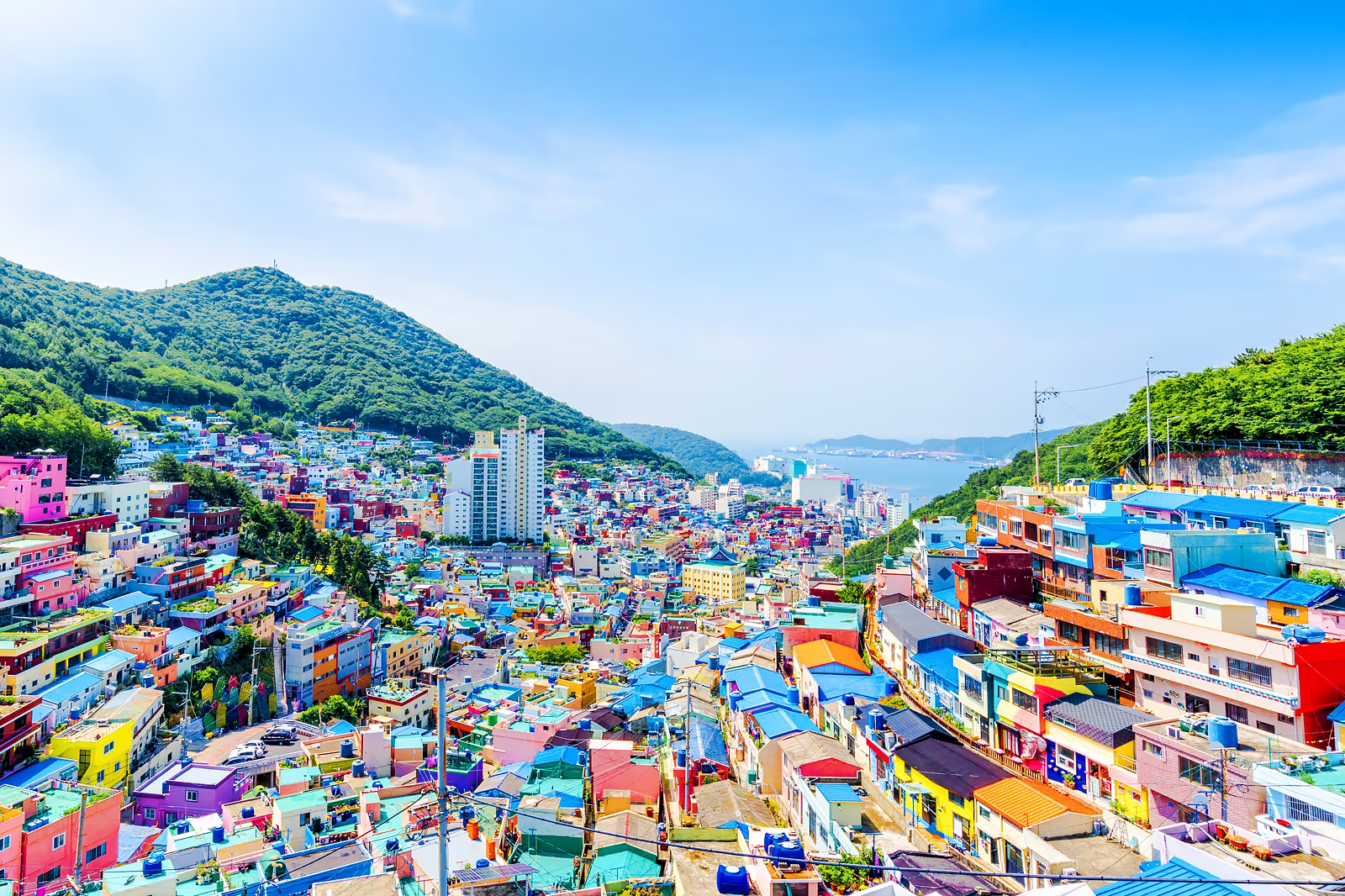 Busan_Seoul_South_Korea.original.png