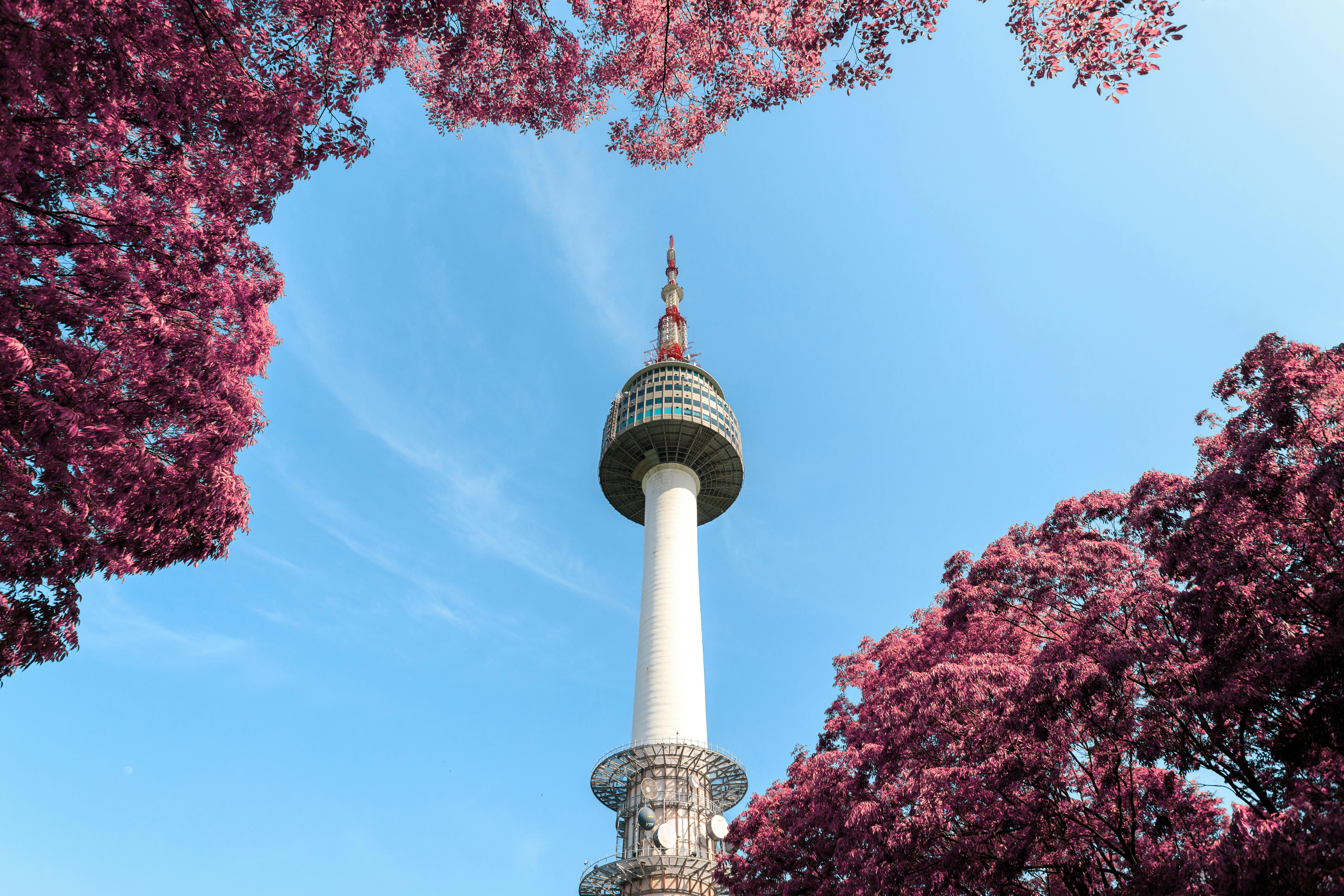 N_Seoul_Tower_Seoul_South_Korea.jpeg