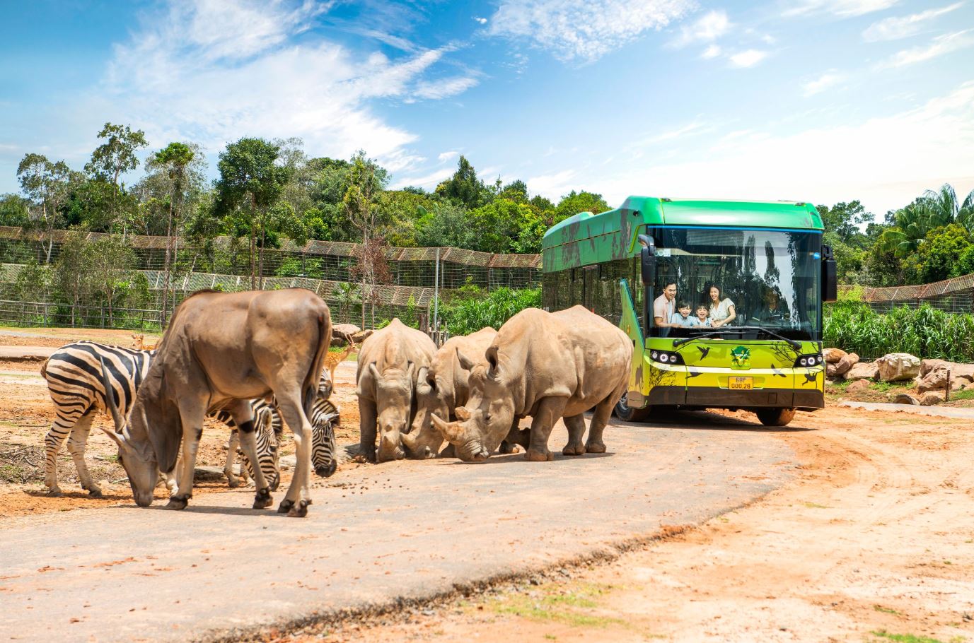 vinpearl-safari-phu-quoc.jpeg