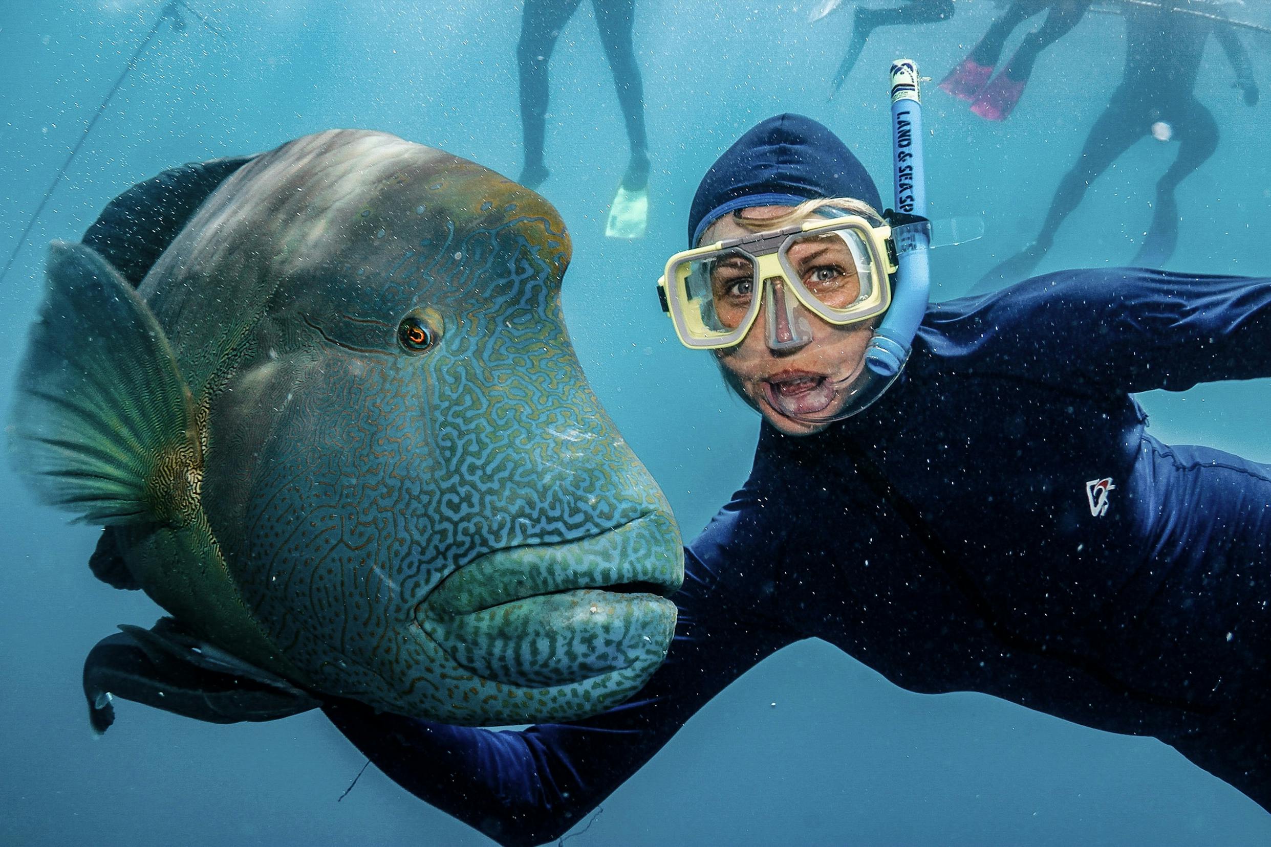 Great_Barrier_Reef_Snorkeling.jpg