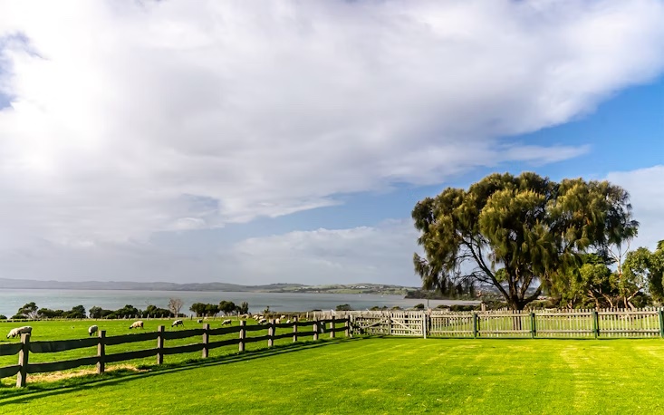 Phillip_Island_Australia.jpeg