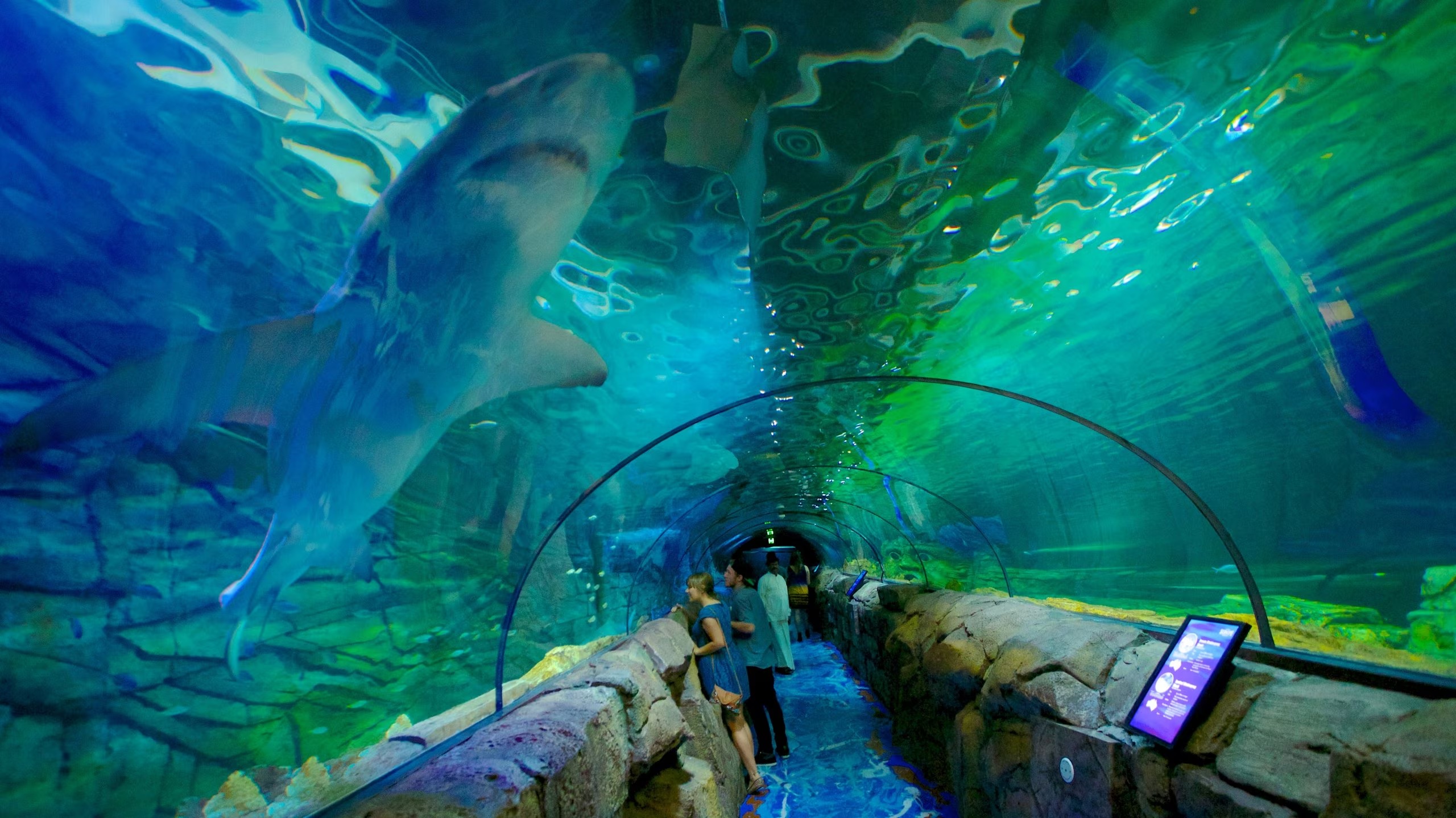 Sea-Life-Sydney-Aquarium_Australia.jpeg