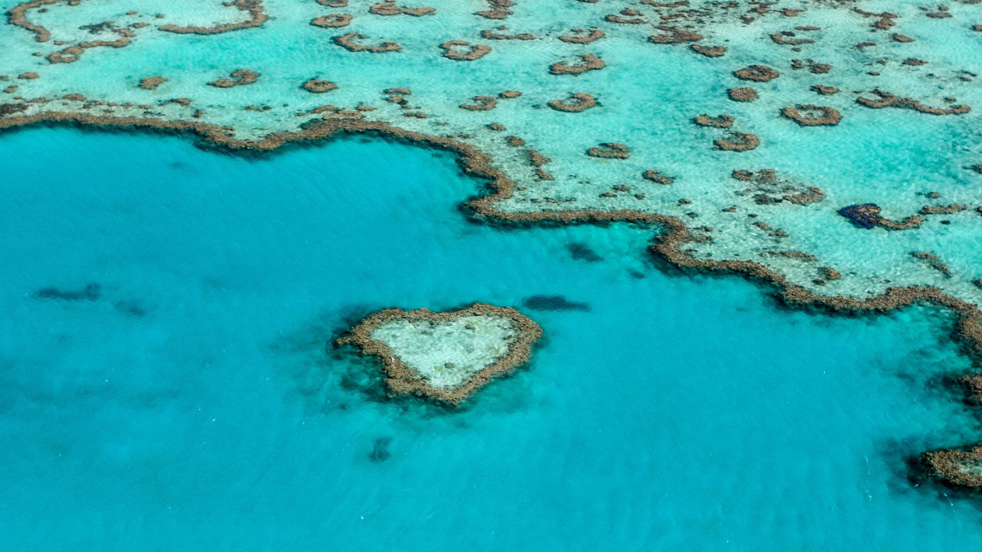 Great_Barrier_Reef.jpg